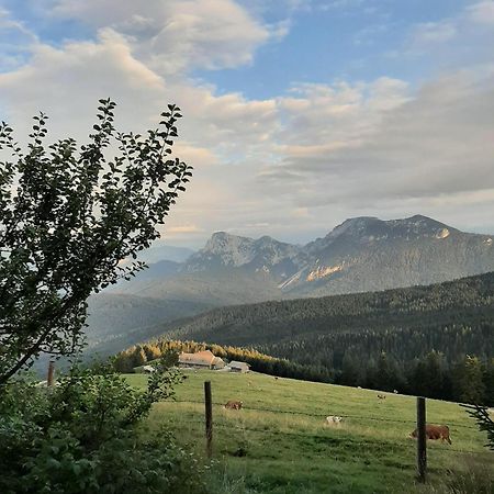 希格斯多夫Stoecklhof别墅 外观 照片